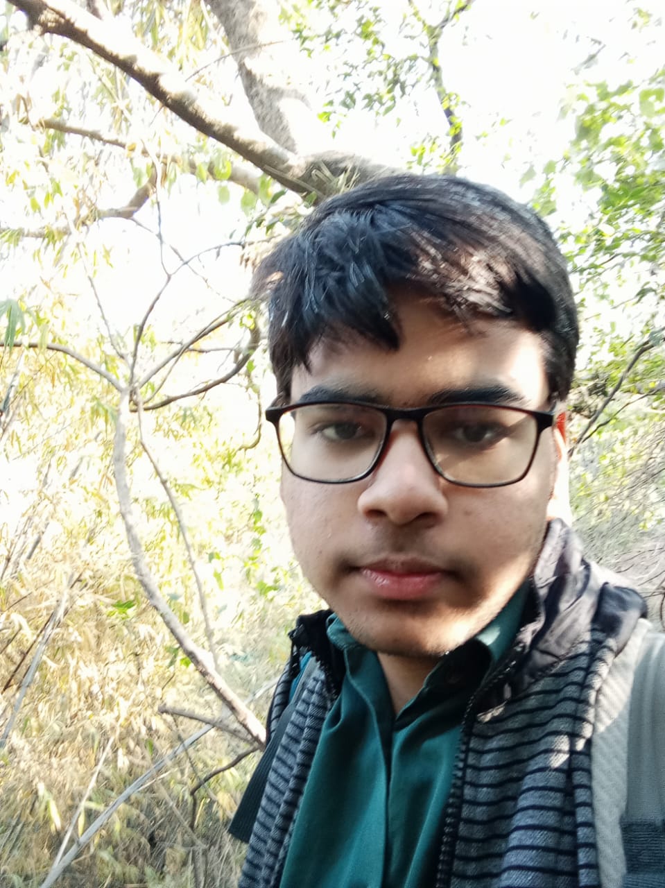 Mayank Chitra - Technical Head